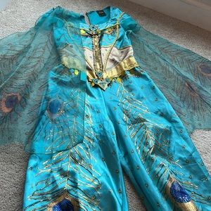 Disney Aladdin movie- Jasmine Disney costume